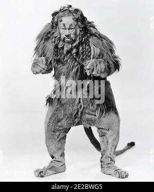 THE WIZARD OF OZ` 1939 MGM Film mit Bert Lahr Als Zeke - der feige Löwe Stockfoto